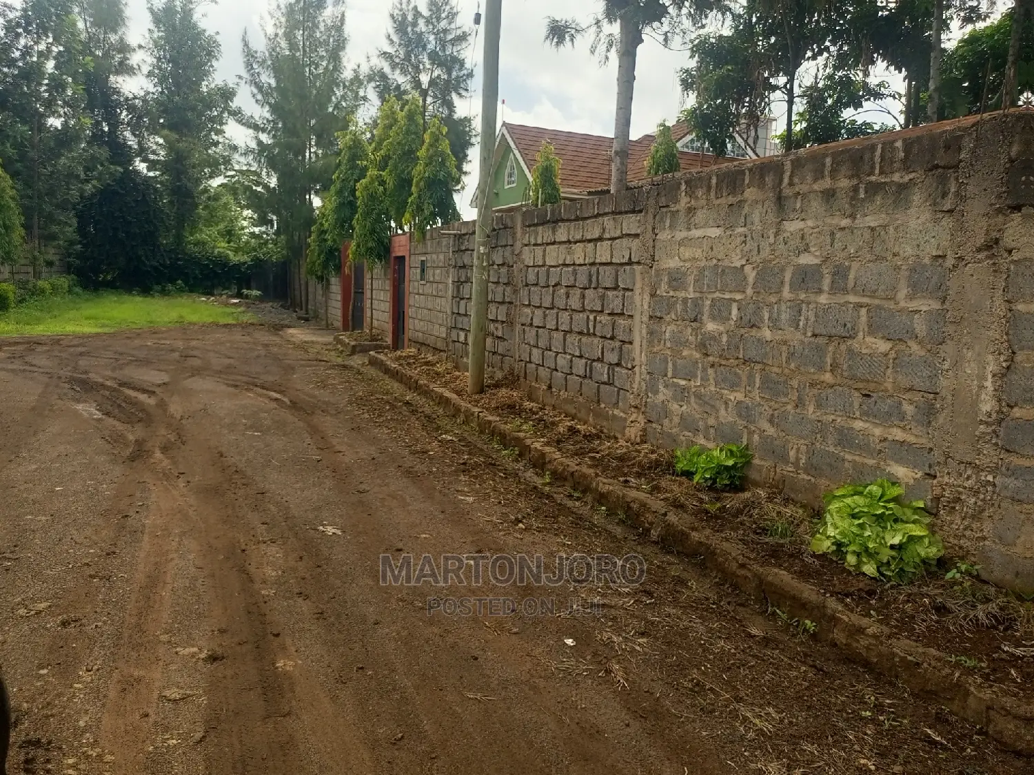 50 by 100 in Ruiru ( Mugutha)