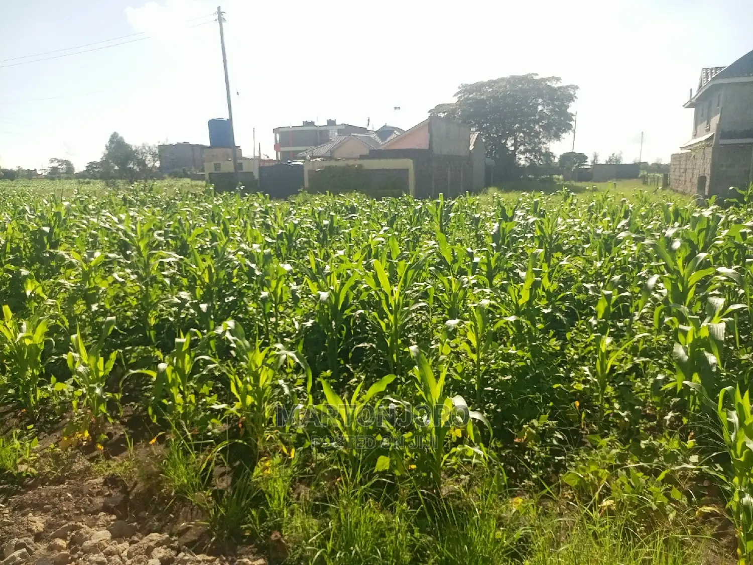 Matangi Residential Plots ( Ruiru)