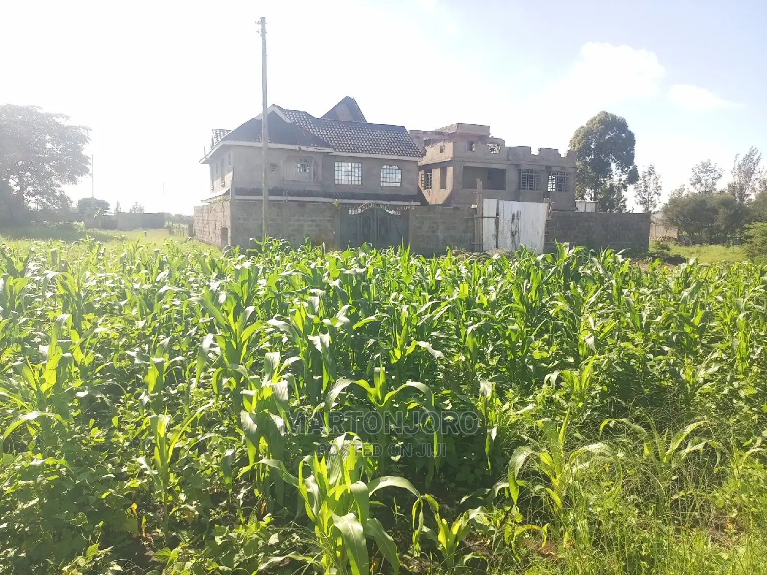 Matangi Residential Plots ( Ruiru)