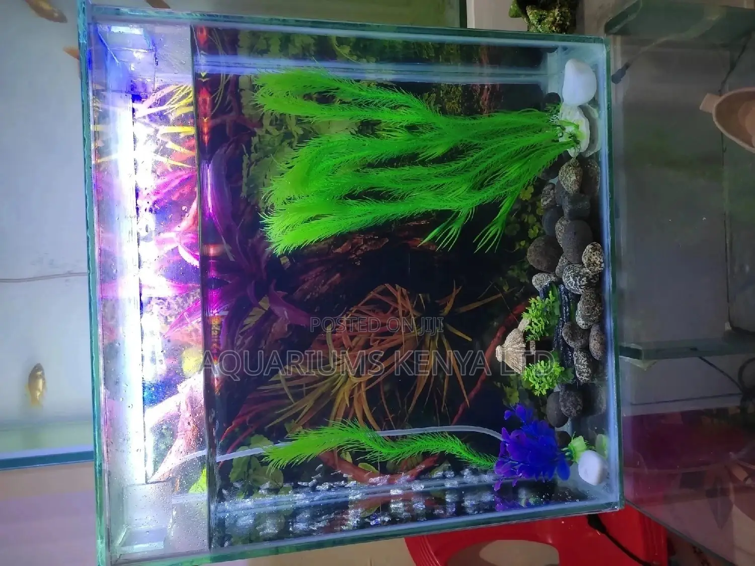 Mini Wall Tower Cube Aquarium