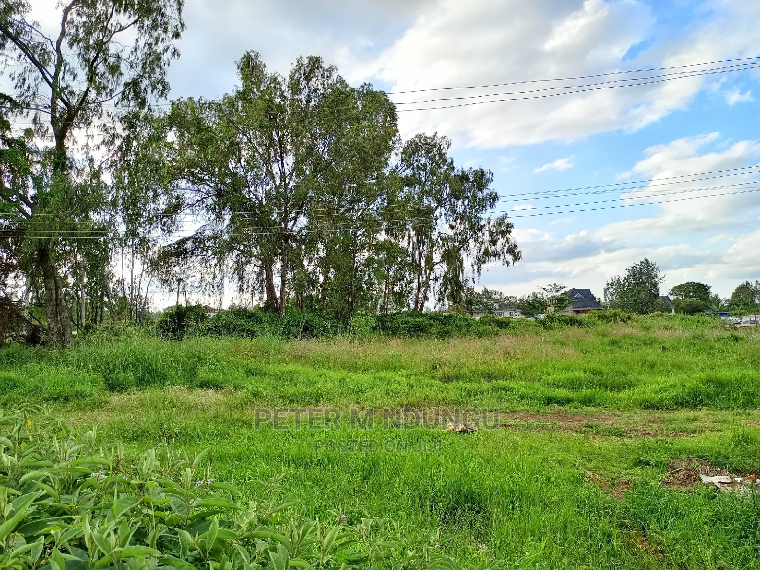 Prime 5.5 Acres , Garden Estate on Sale