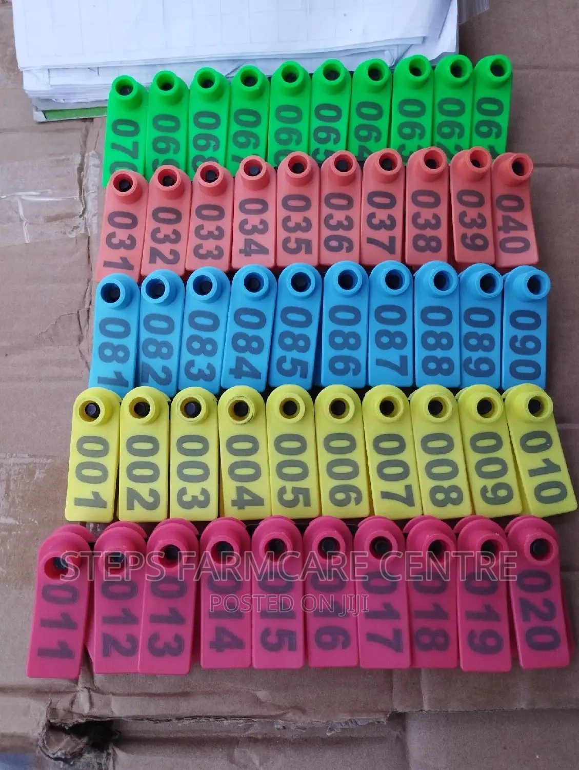 Colorful Goats Ear Tags