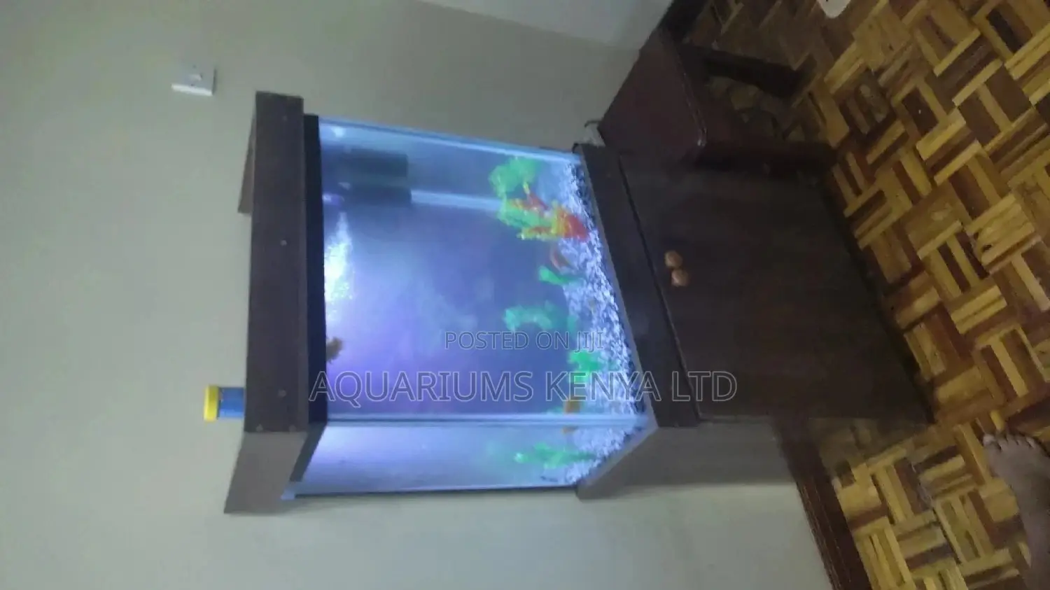 25gallon , Aquarium, House Aquarium , Home Aquarium