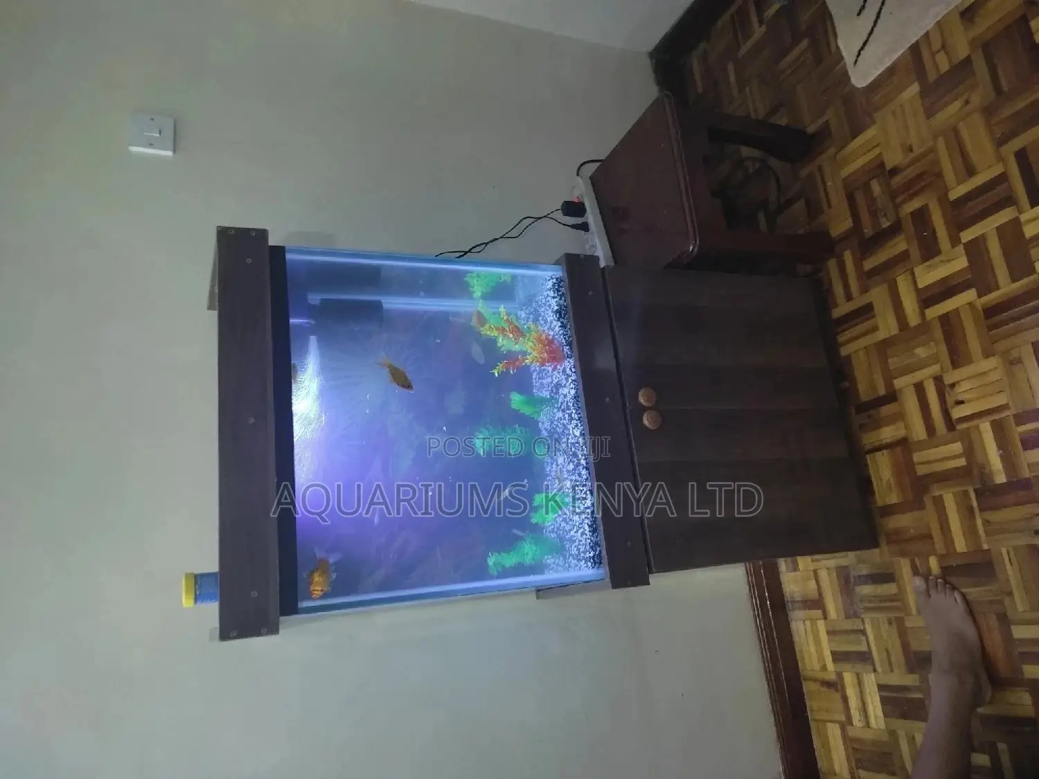 Hotel Aquarium , Restaurant Aquarium, Office Aquarium, Fish