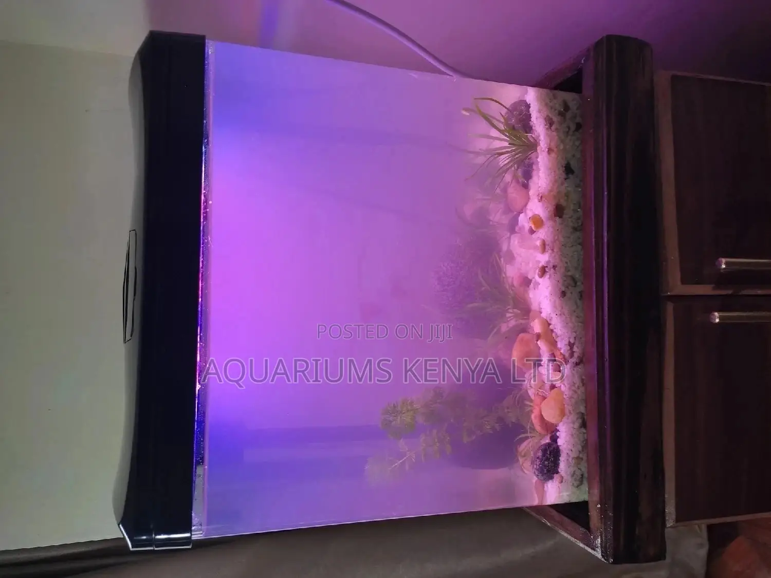 Acrylic Aquarium , Imported Tank Set Up and Deliver