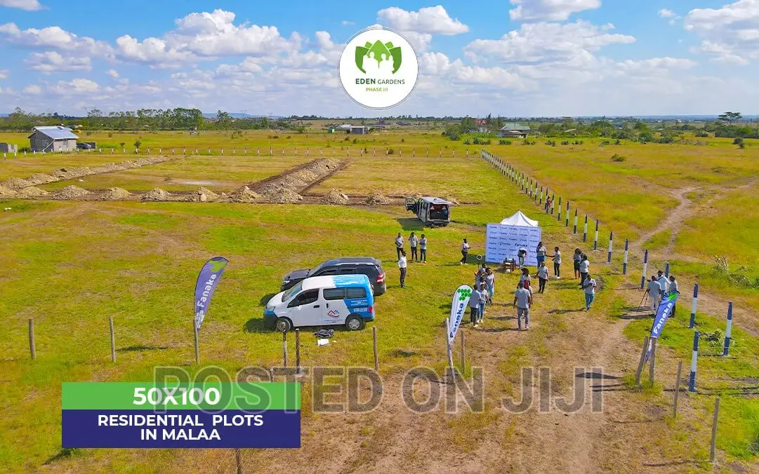 Prime Plots in Malaa.Eden 3.^Cn