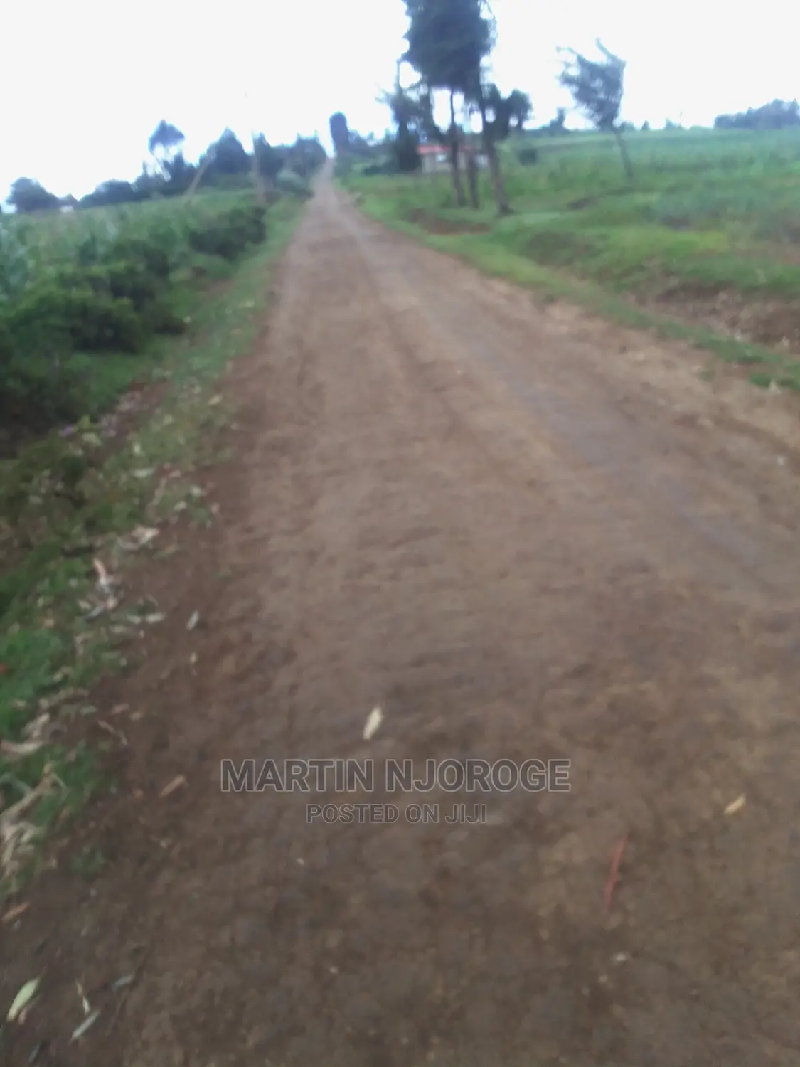 4 Acres Ihindu, Munyu Area