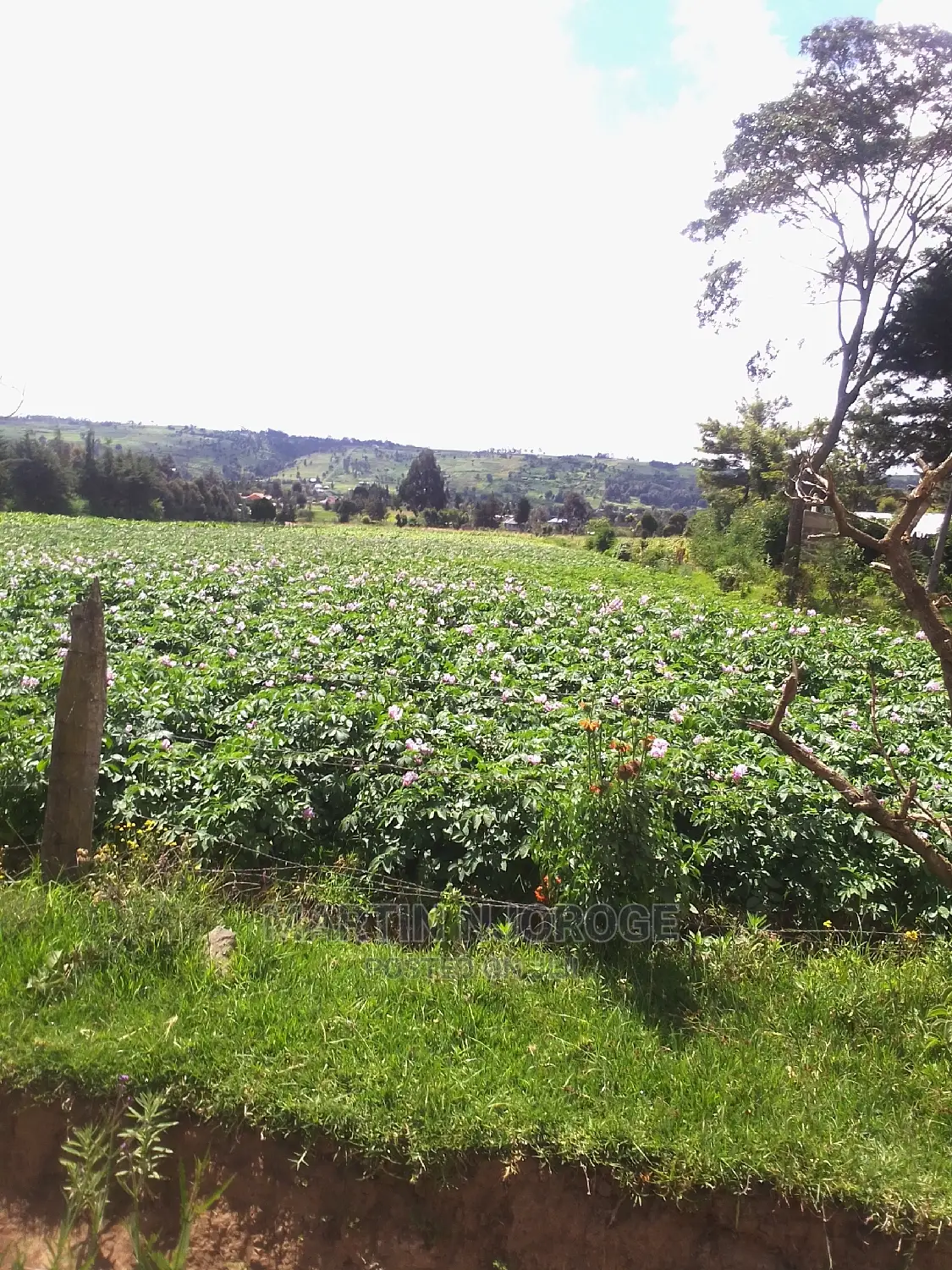 4 Acres Ihindu, Munyu Area