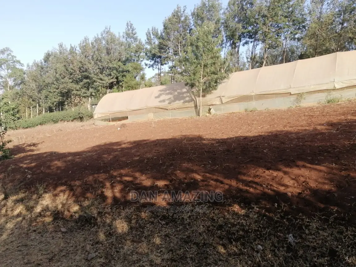 Half Acre for Sale in Ngong Touches Tarmac