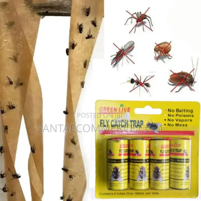Green Live Fly Catch Trap