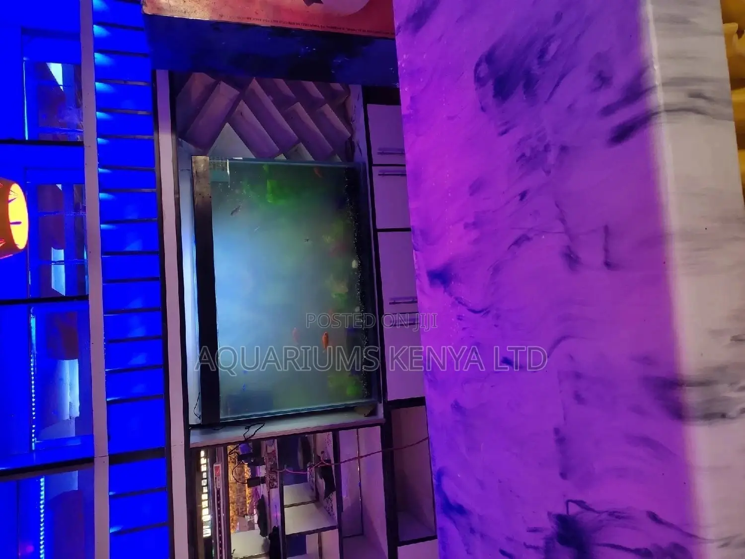 Bar and Restaurant Countertop Aquarium