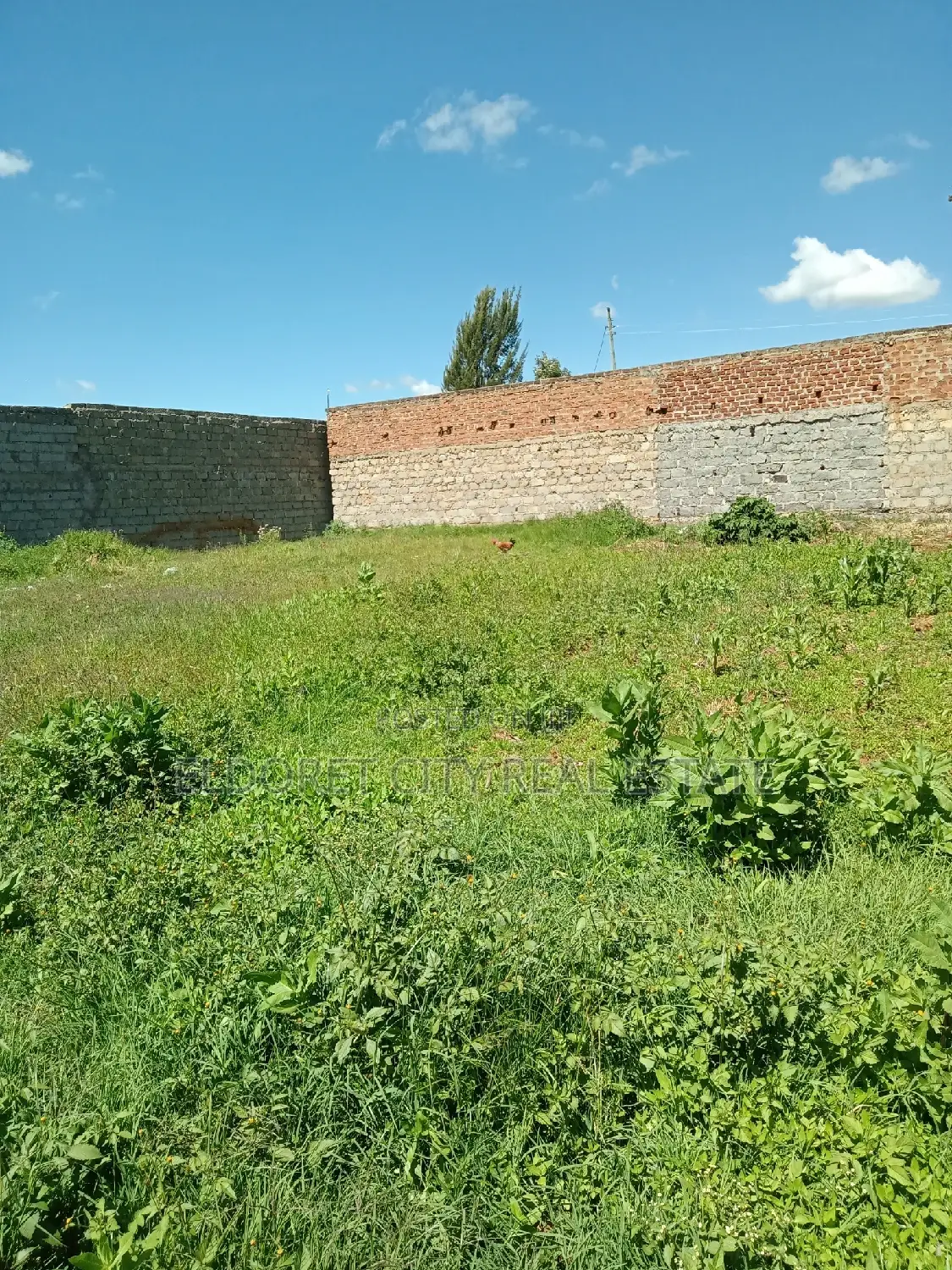 1/4 Plot Kimumu Ideal for Rental.