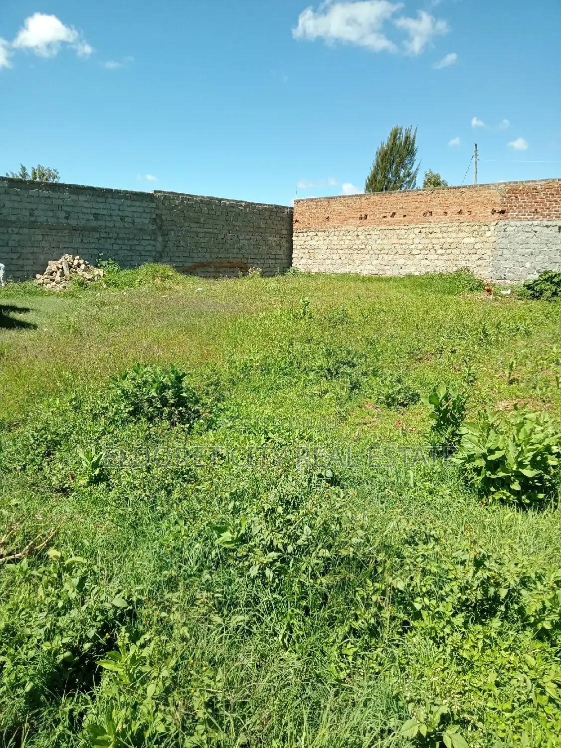 1/4 Plot Kimumu Ideal for Rental.