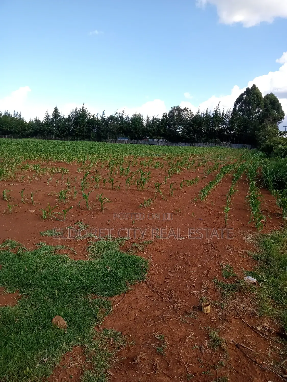 4 Acres Cheplasgei With Title