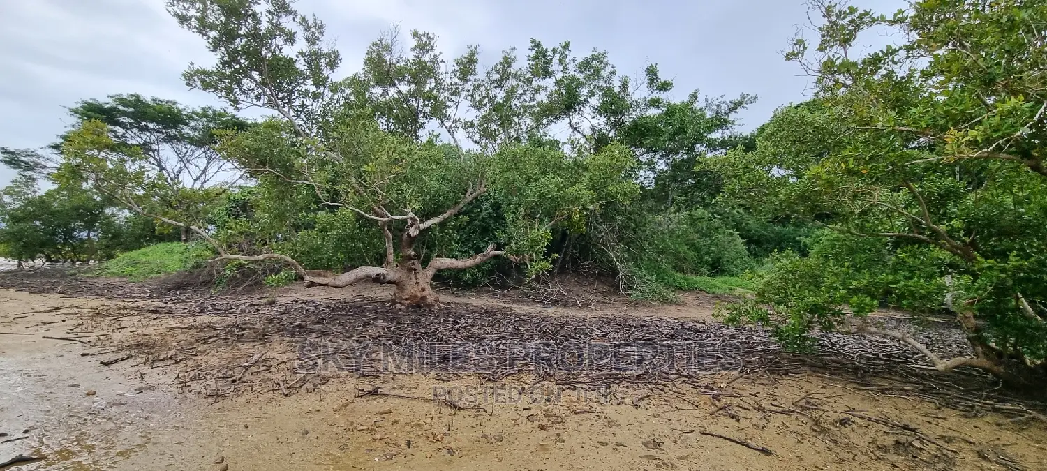 First Row Creek Beach Mtwapa,6 Acres On Sale