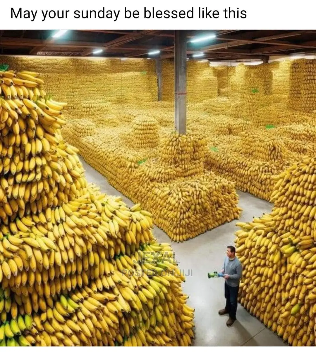 We Transport Your Farm Products