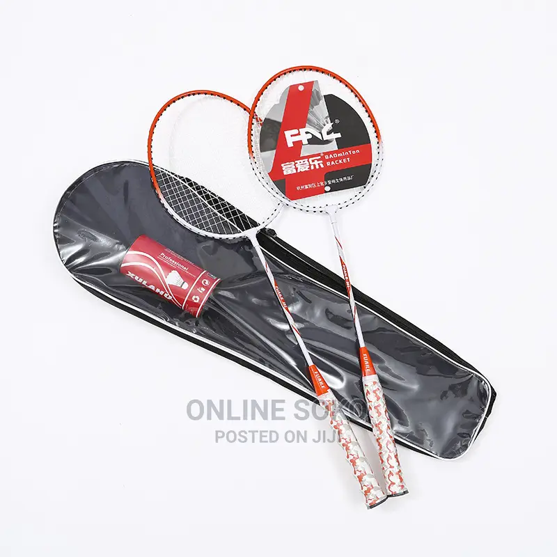 Portable Beginner Outdoor Indoor Sports Badminton Racket Set