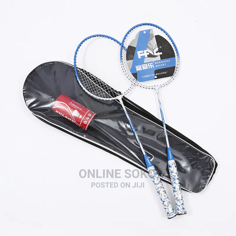 Portable Beginner Outdoor Indoor Sports Badminton Racket Set