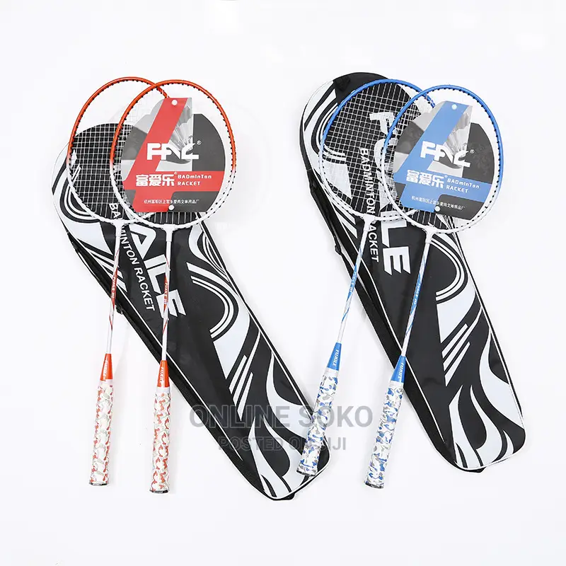Portable Beginner Outdoor Indoor Sports Badminton Racket Set