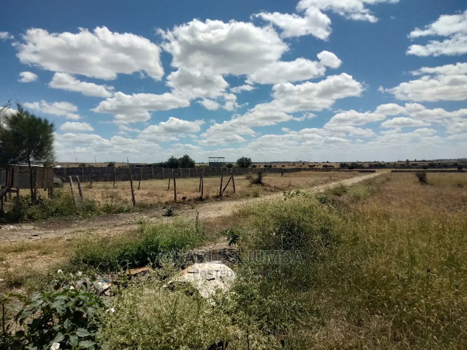 1/8 Plots Near Ostrich Farm