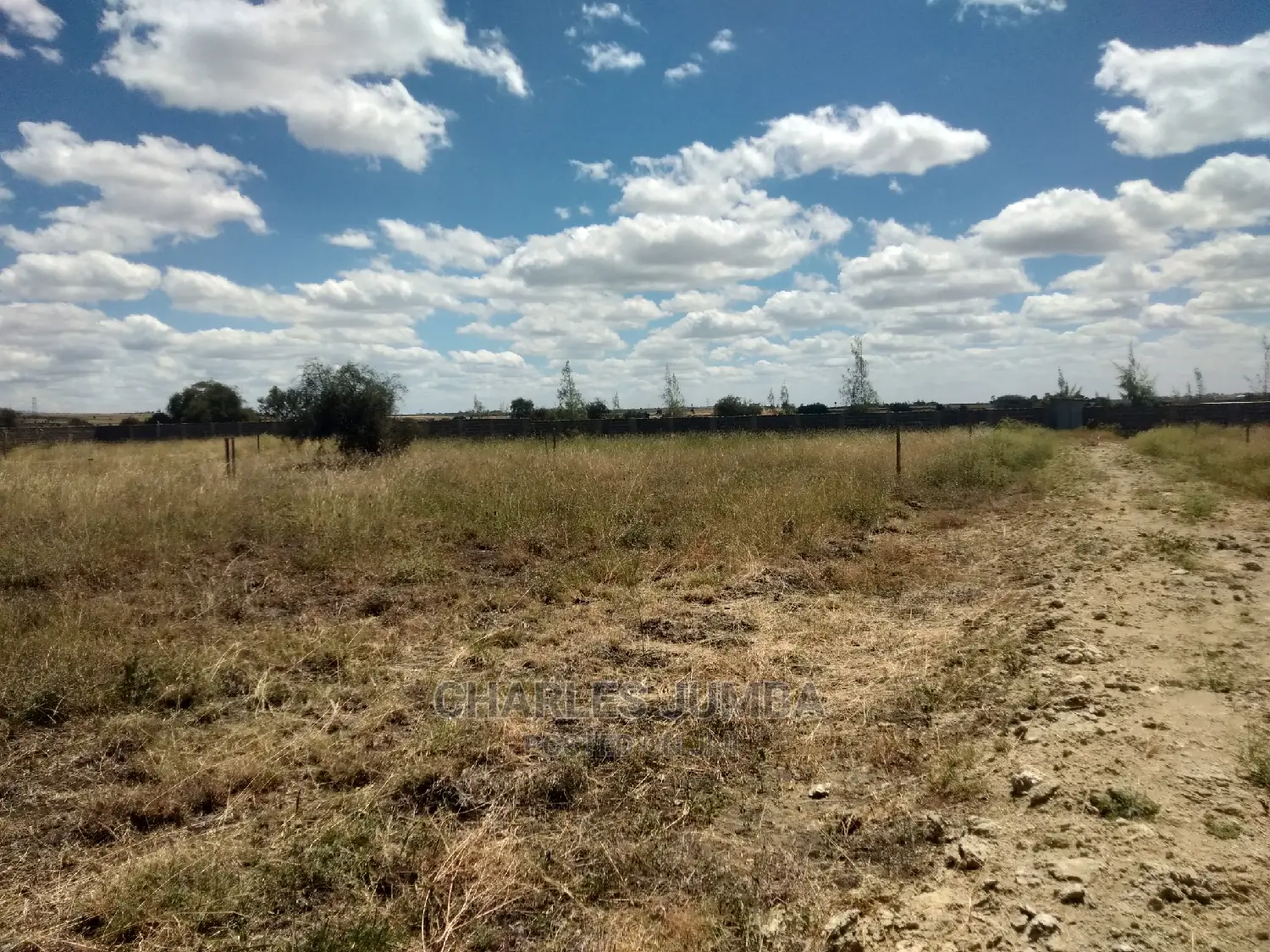 1/8 Plots Near Ostrich Farm