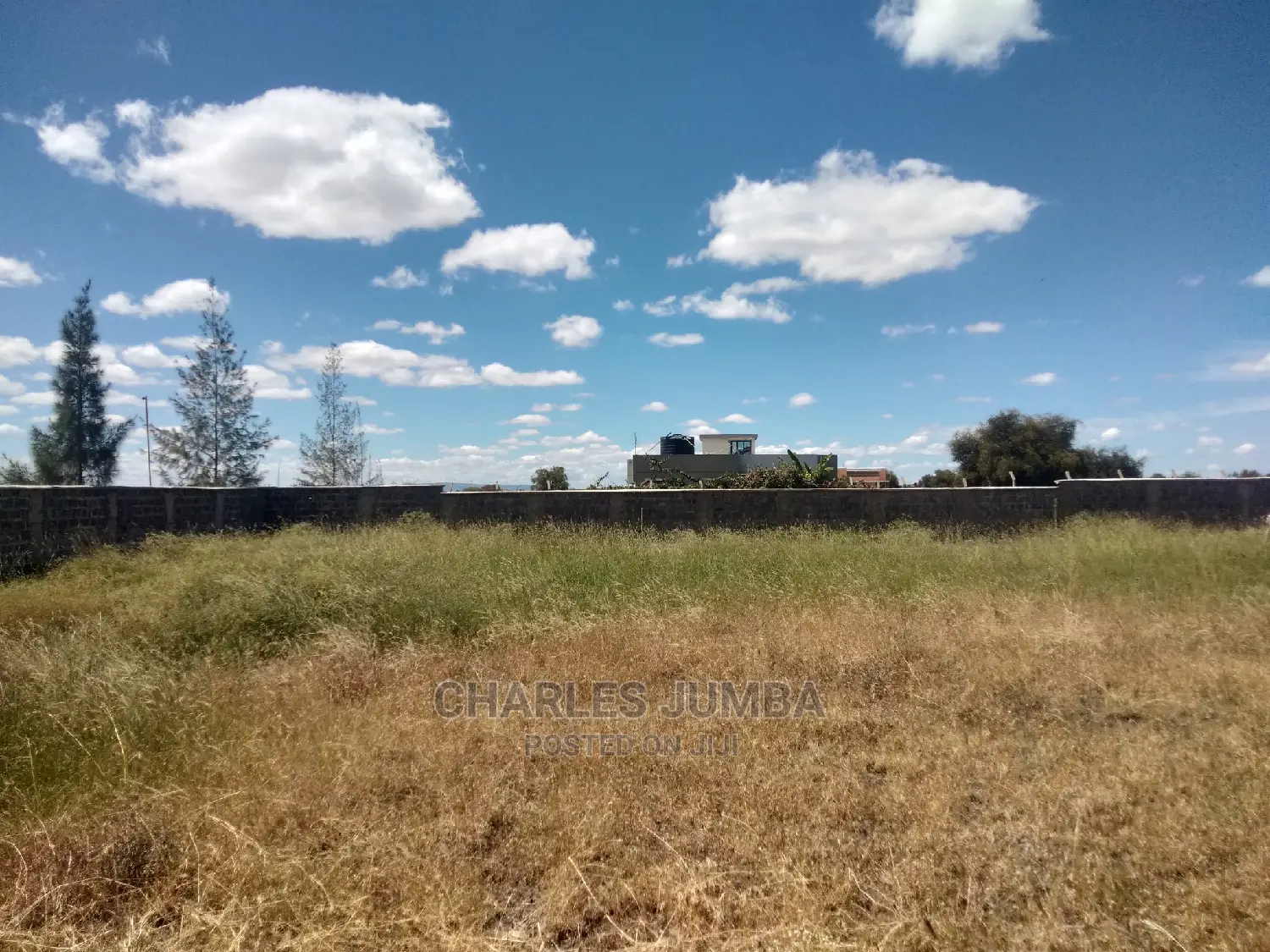 1/8 Plots Near Ostrich Farm