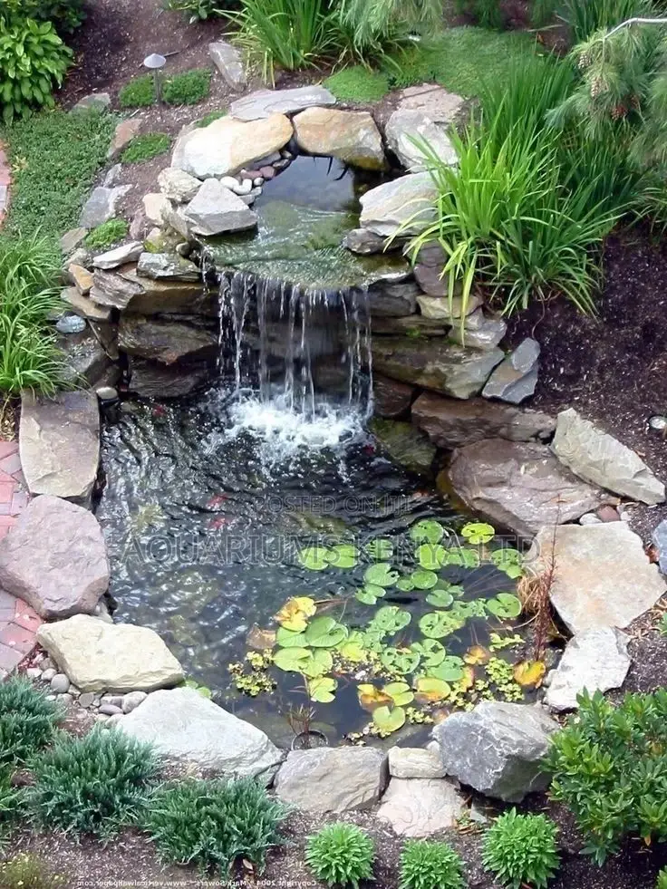Ornamental Garden Fish Pond Construction and Maintenance