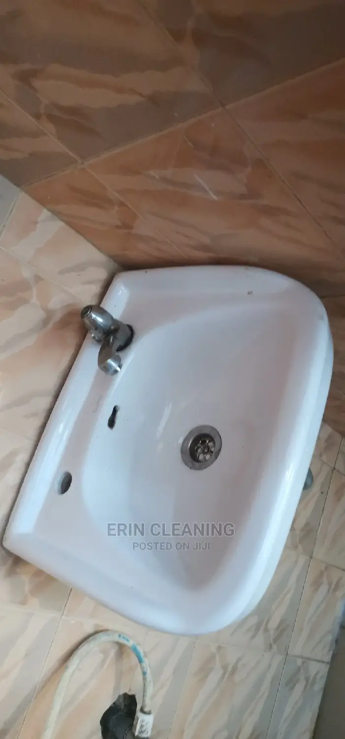 Sink and Toilet Cleaning