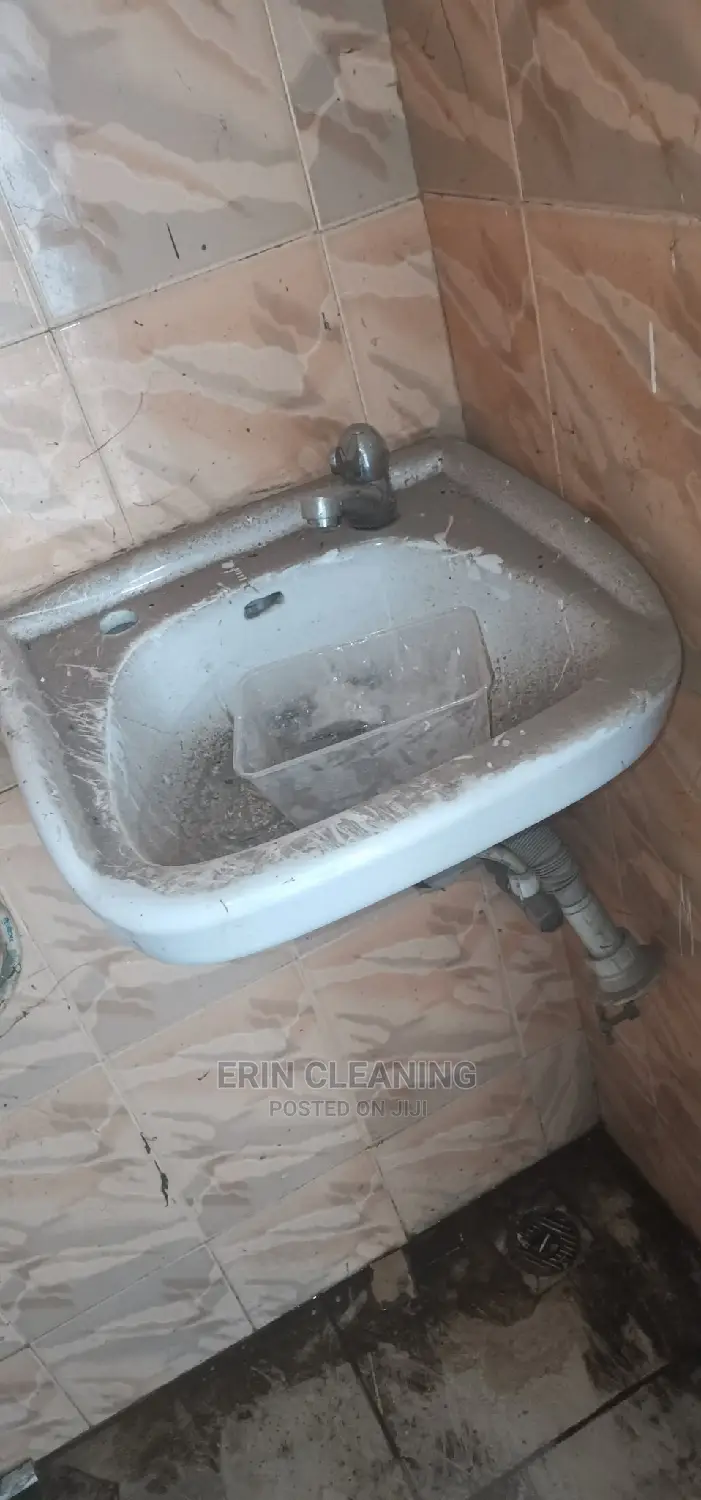 Sink and Toilet Cleaning