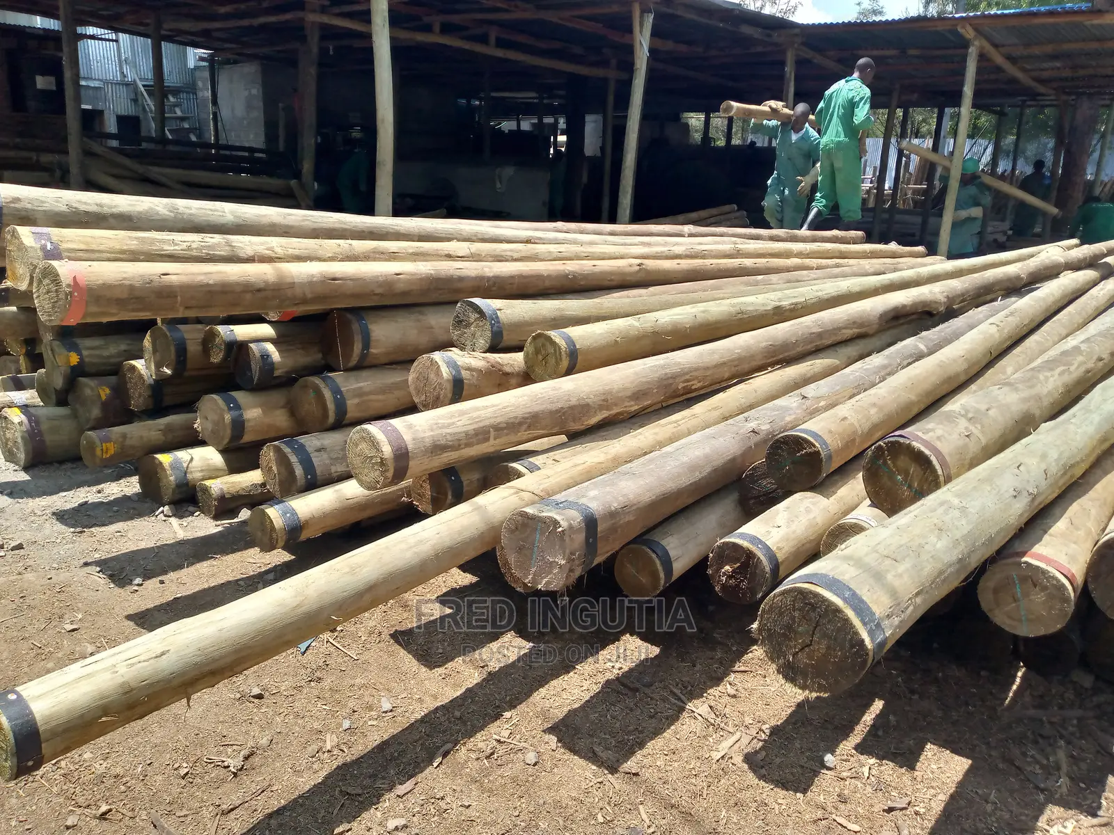 Fiber, Faiba Optic Internet Poles for Sale