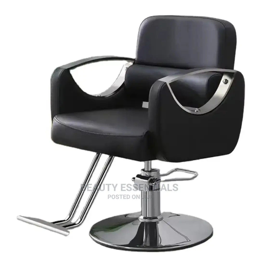 Salon Chair/Styling Chair/Beauty Chair
