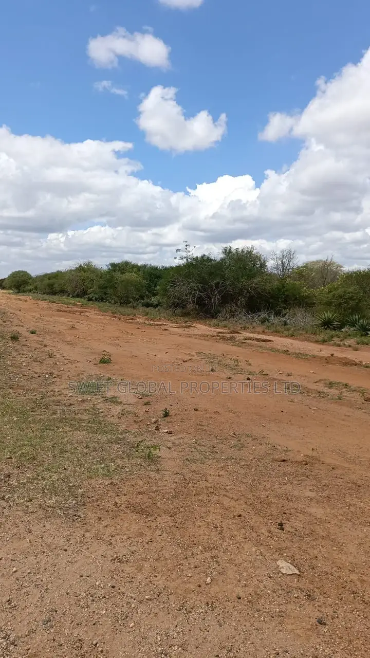 10 Acres of Land Touching Makindu-Wote Tarmac Is for Sale
