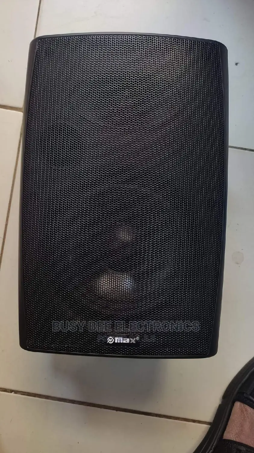 Max Wall Mounted Speaker