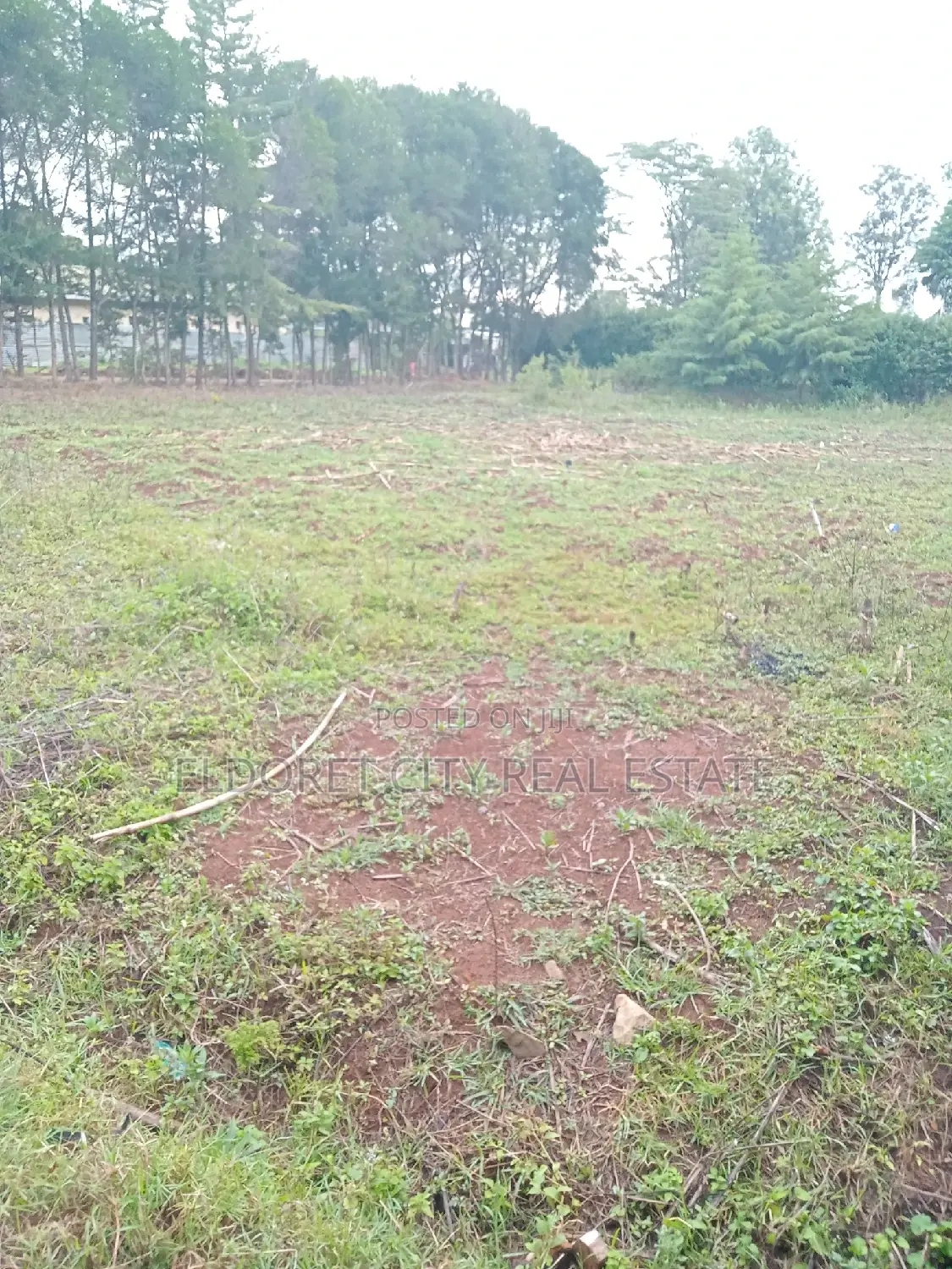 1/4 Plot Kapsoya With Title