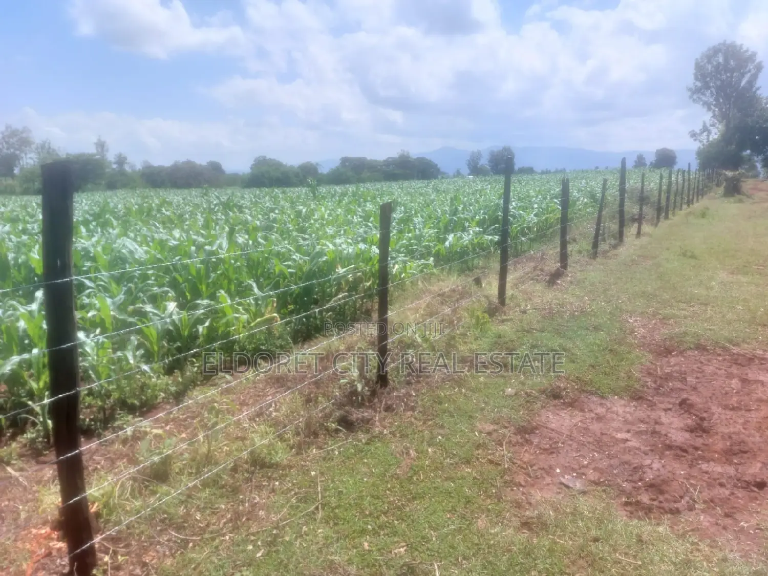 2 Acres of Land Moiben Kabiyet Area With Title