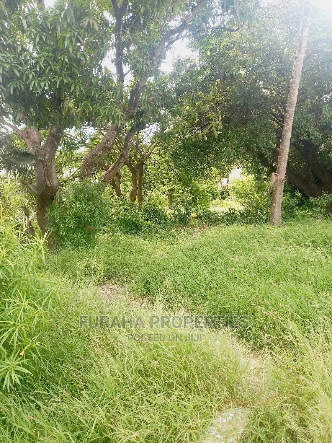 Prime Commercial Plot for Sale Malindi