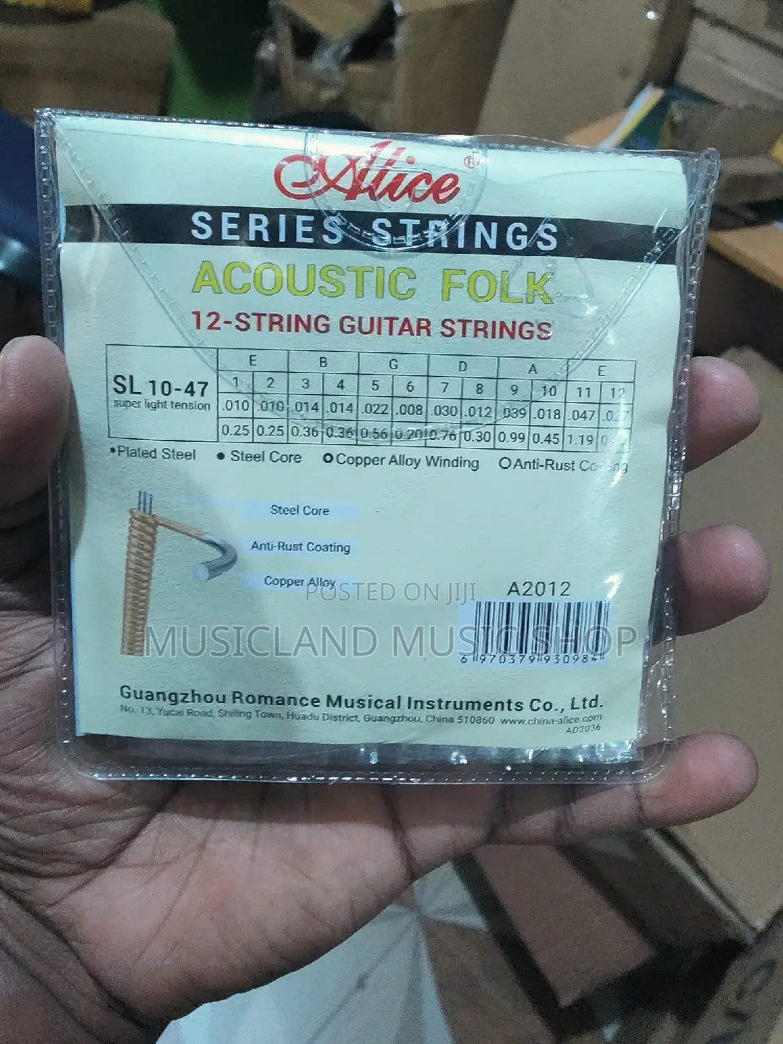 12 String Acoustic Guitar Strings