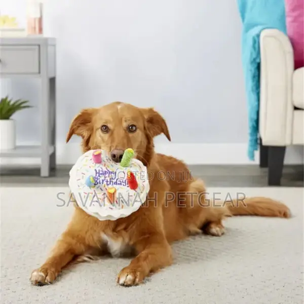 Dog Birthday Party Cake, Muffin Bone Toys Set