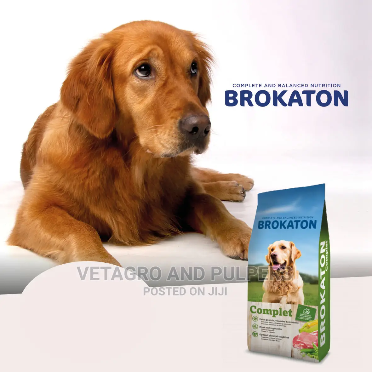 Brokaton Complet Adult Dog Food 4kg