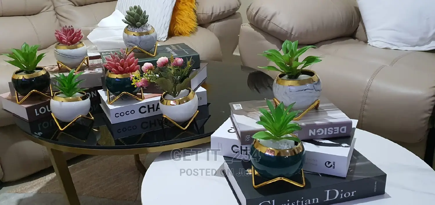 Simple Creative Succulent Planter Flower Pot