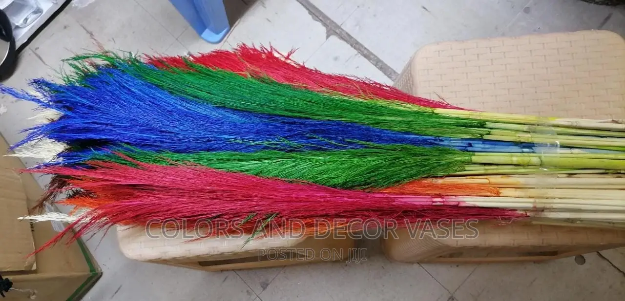 Coloured Pampas Grass 1m Long