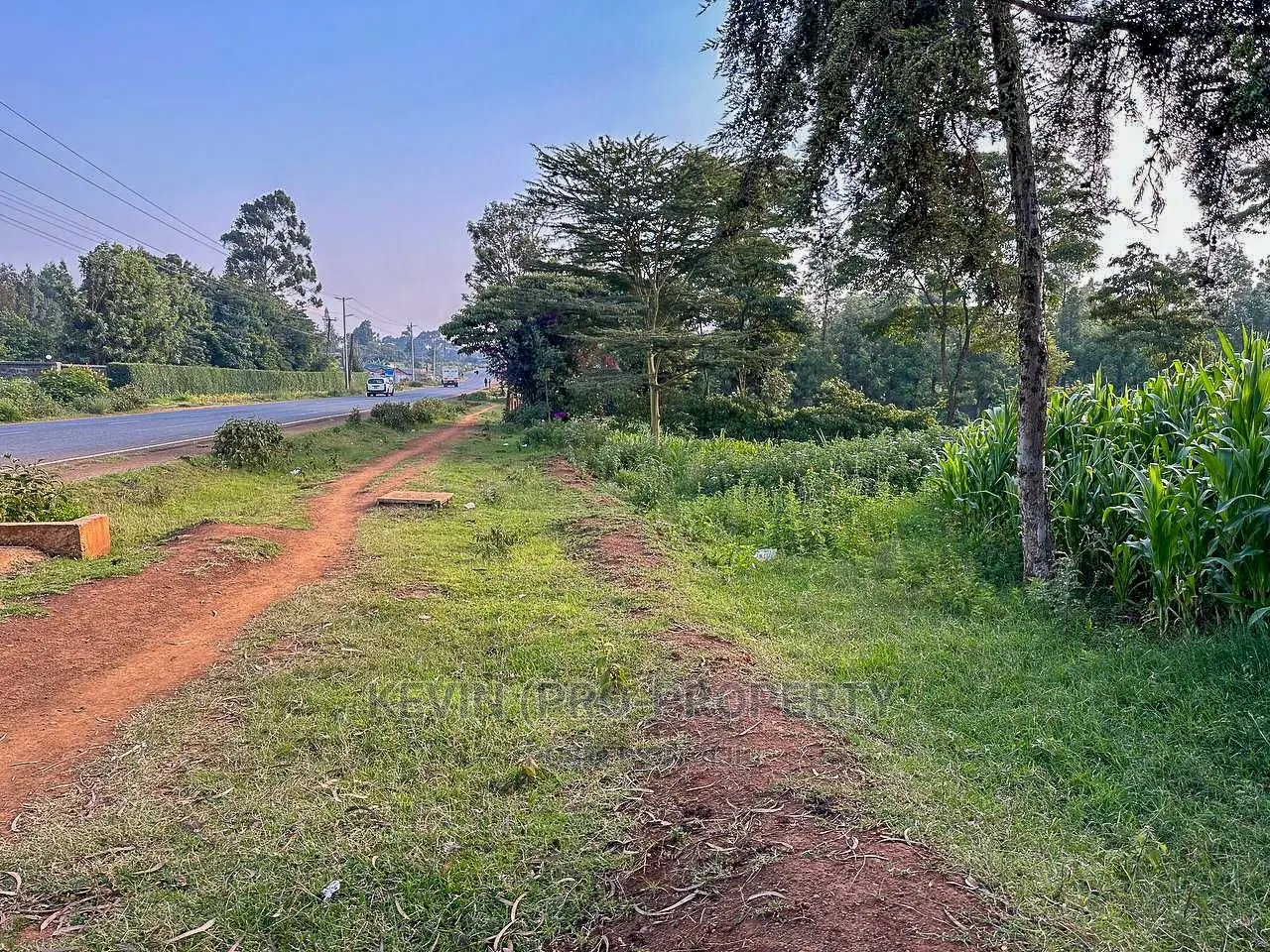 Half Acre Land on Tarmac in Limuru.