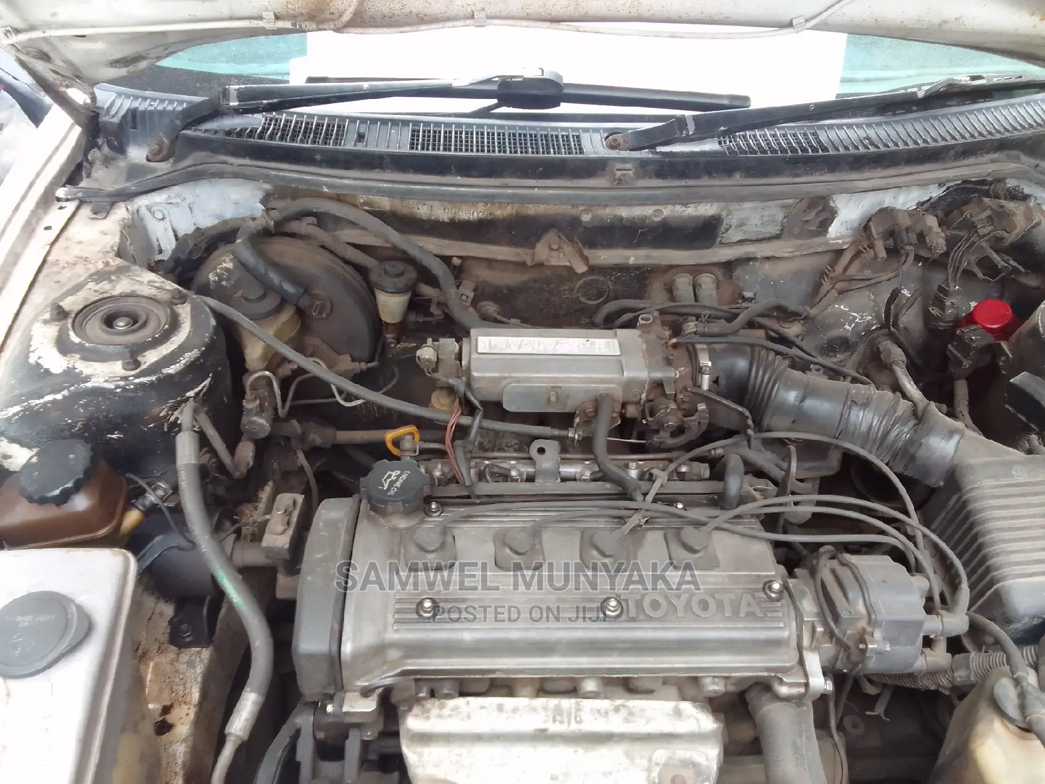 Toyota Corolla 2000 White