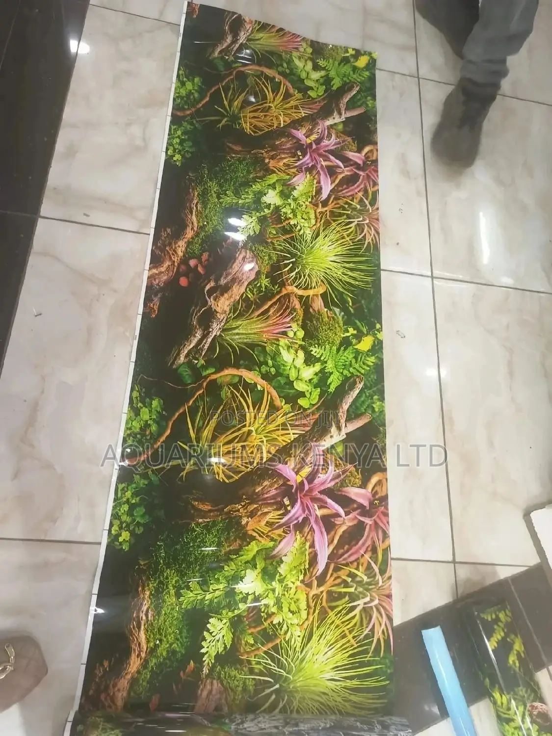 Paldarium Aquarium Background Picture