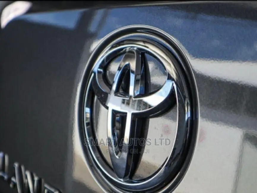 New Toyota Land Cruiser 2022 Gray