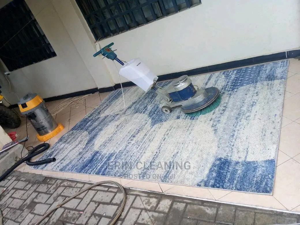 Carpet Couch Cleaning in Homes