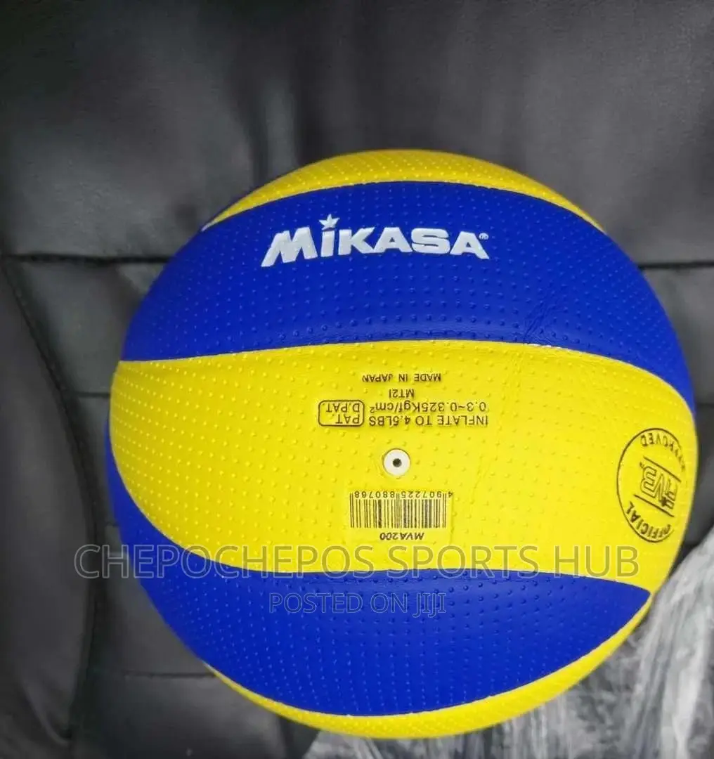 Volleyball Balls