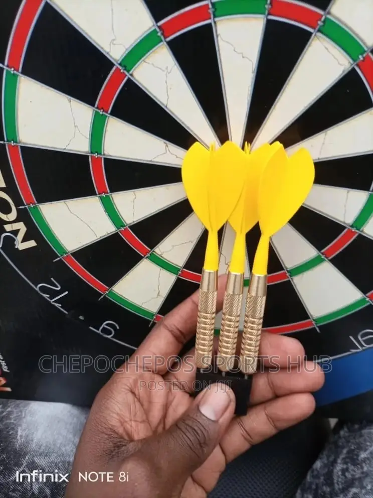 Professional Dartboard