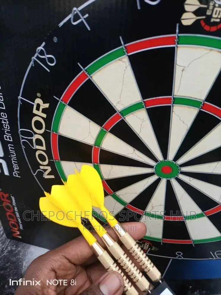 Professional Dartboard