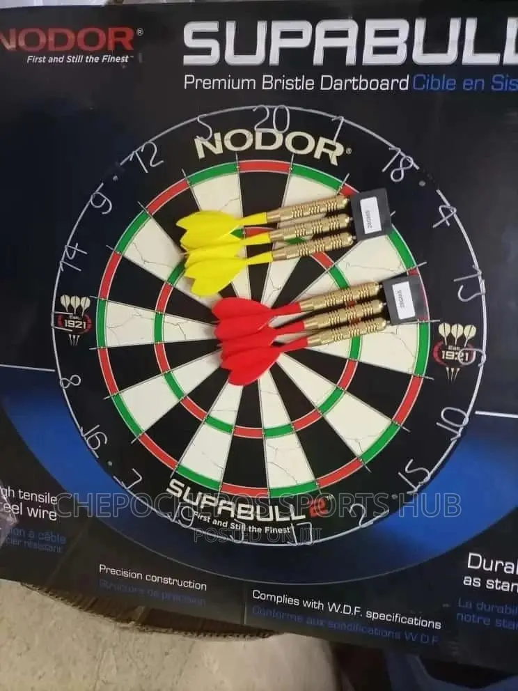 Professional Dartboard